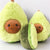 Avola the Soft Avocado Stuffie